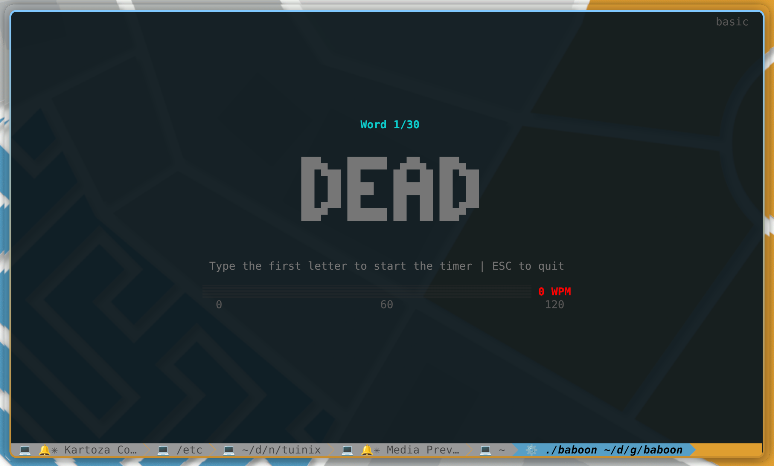 Terminal typing screen